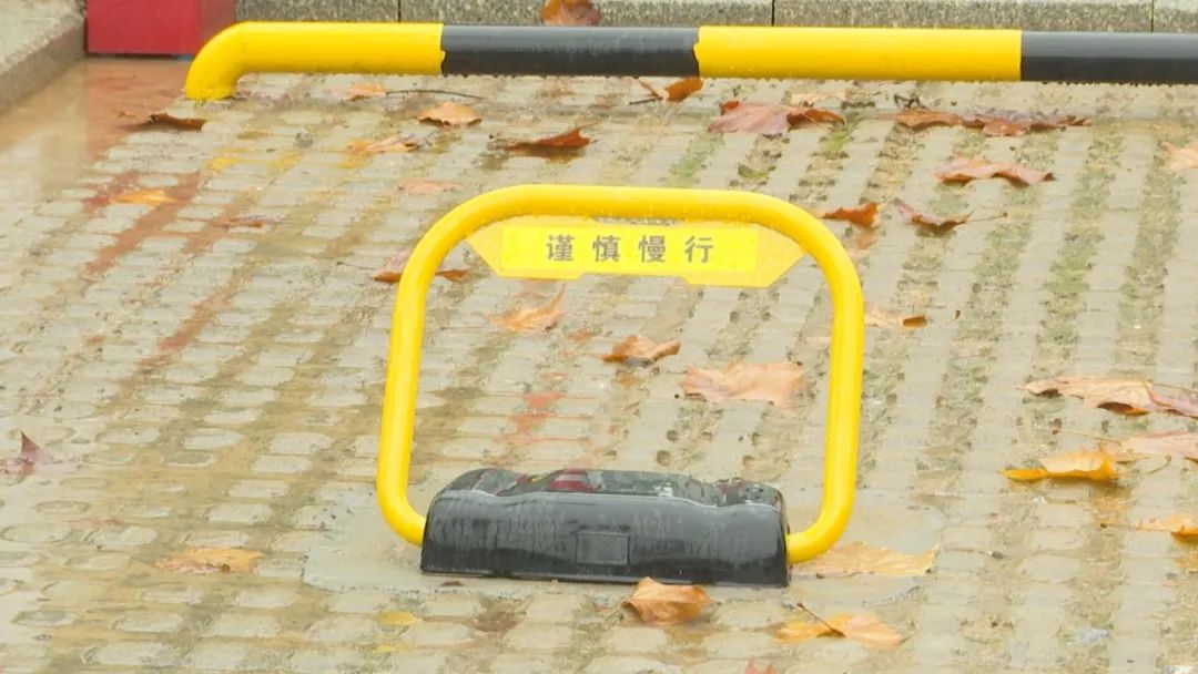 DƬ